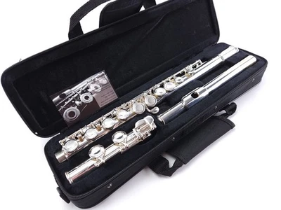 Flauta reacondicionada Accent 540S-J estudiante principiante + garantía Foto 1 de 4