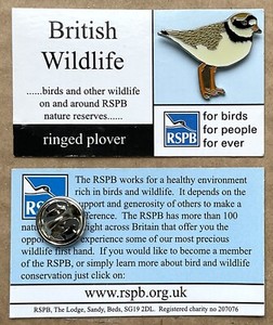 RSPB  ringed plover Pin Badge on early edition card