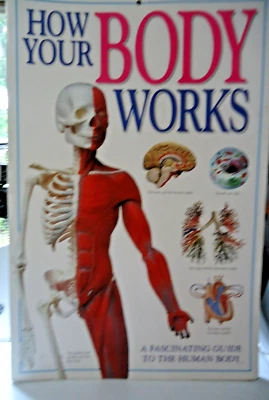 1997 How Your Body Works 16" X 24" made in Italy, HC educational Big board book - Image 1 of 4