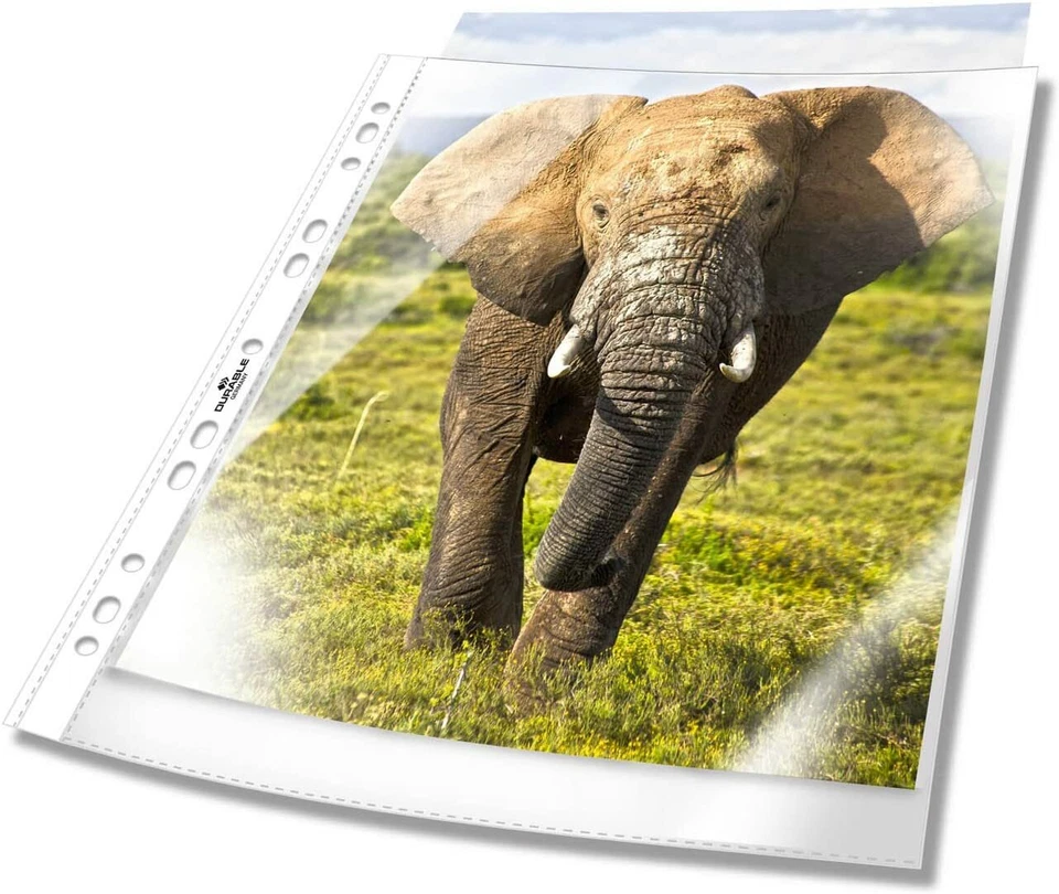 Durable 266819 Prospekthüllen (DIN A4 Business, 0,05 mm) 100 Stück glasklar