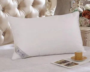 TOP QUALITY 50*70 100% Mulberry Silk, Silk Filled Pillows, Vintage, Luxury - Picture 1 of 3