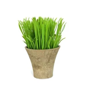 Artificial Grass Plant In grey ceramic pot 18cm tall - Picture 1 of 3