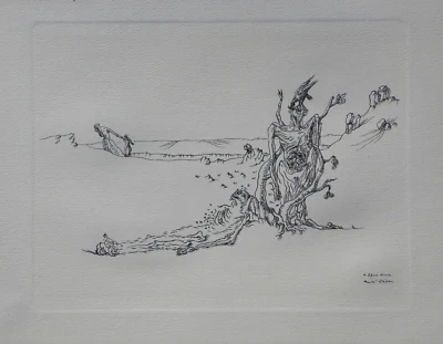André Masson: la higuera desséché, grabado firmado, 1951 + certificado Foto 1 de 4