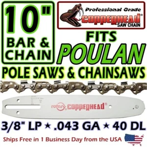 COPPERHEAD 10" BAR & CHAIN FOR POULAN PRO POLE SAWS, CHAINSAWS 3/8 LP .043 40 DL - Picture 1 of 15