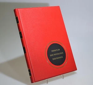 Farbatlas der Pathologie des Mundes 1968 Medica Medizin Lehrbuch - Bild 1 von 5