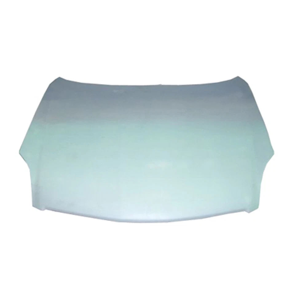 IN1230106 New OEM Hood Panel Fits 2003-2007 Infiniti G35 Coupe Foto 1 de 1