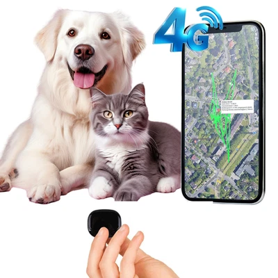 Mini 4G GPS Tracker (ohne ABO SIM Laufzeit 8 Jahre) für Haustiere Katze und Hund - Bild 1 von 2