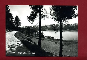 CARTOLINA -  COSENZA - SILA -Lago Arvo - Picture 1 of 1