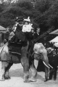 People Ride Elephant!  England 1900s 4x6 Reprint Of Old Photo - Picture 1 of 1