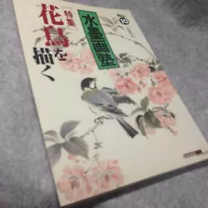 Japanese Suibokuga Sumi-e Brush Painting Art Sample Book No10 Flowers and Birds - Picture 1 of 4