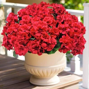 Artificial Geranium Flowers for Outdoors UV Resistant Red Silk Fake Geranium ... - Picture 1 of 5