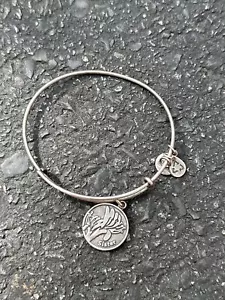 Alex and Ani Because I Love You Sister Silver Expandable Bangle Bracelet 2014 - Picture 1 of 2