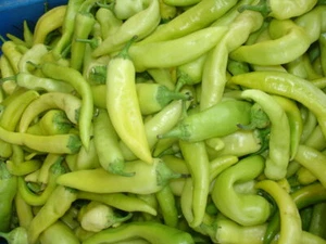 Pimienta de plátano dulce - pimiento - más de 20 semillas - ¡Herencia! Ca 058 - Imagen 1 de 1