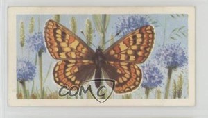 1963 Brooke Bond British Butterflies Tea Marsh Fritillary #16 4az