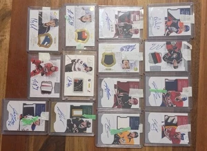 Tarjetas de hockey base y novatos automáticos Panini Dominion Patch 2011-12 - Imagen 1 de 38