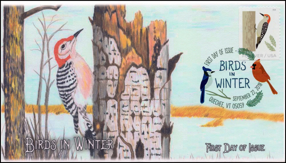 18-256, 2018, Birds in Winter, DCP Postmark, Red bellied Woodpecker, FDC - Image 1 of 1