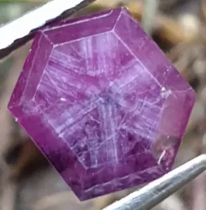 Natural Sapphire Trapiche Slice beautiful peace from Kashmir 1.50ct - Picture 1 of 7