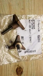 Pack of 2 Strainer Lid Knob, Pentair C-Series. Purex 075280 - Picture 1 of 1