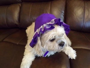 Hund Haustier Mütze mit Spitzenborte, helllila, klein (**Größe Details lesen) - Bild 1 von 2