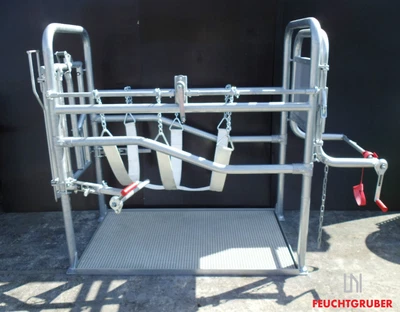 Klauenpflegestand für Rinder (freistehend) - Rind, Stall, Kuh, Rinderstall - Bild 1 von 4