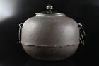 M4276: Xf Japanese Iron Shapely Teakettle Teapot Chagama