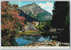 1970s Cascade Mtn. Postcard Banff Alberta Rock Gardens Cars Retro Town St View