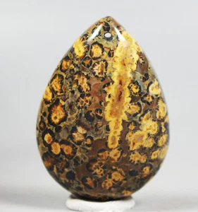Collection Amazing Orbicular Ocean Jasper Agate Small Druzy Slab Reiki pendants - Picture 1 of 7