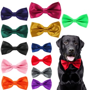 dog dickie bow collars