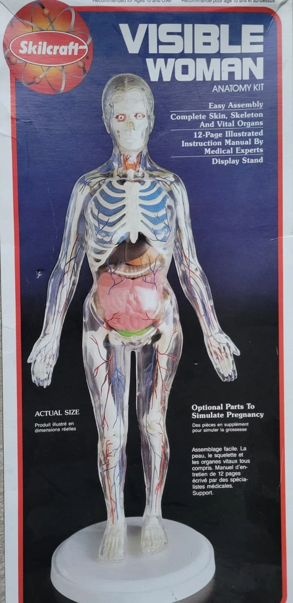 visible woman products for sale | eBay