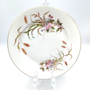 Antiker französischer Limoges Tressemanes & Vogt D&C 1497 Salatteller floral 1890er - Bild 1 von 9
