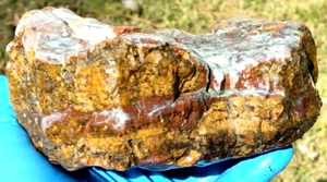 Indian Chert 6 lb rojo amarillo jaspe ágata espécimen piedra cristalina curación Reiki - Imagen 1 de 12