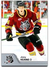 2020-21 Upper Deck AHL **** PICK YOUR CARD **** From The LIST