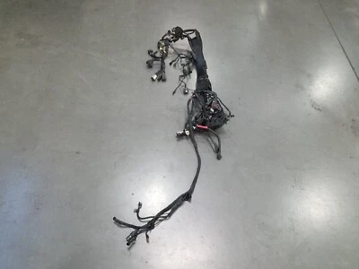 Arnés de cableado principal Harley Davidson Street Glide 2017 17-23 #1790 V3 Foto 1 de 4