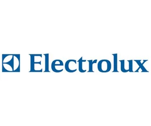 240597220 OEM Temperature Sensor for Electrolux - Picture 1 of 1