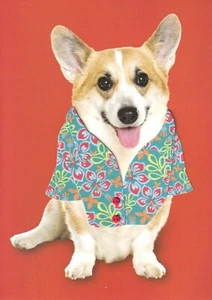 TARJETA DE DÍA DEL PADRE PAPIRO NUEVA EN PAQUETE (PRECIO DE VENTA SUGERIDO POR EL FABRICANTE $5.95) TARJETA DE CAMISA CORGI (Q5) - Imagen 1 de 2