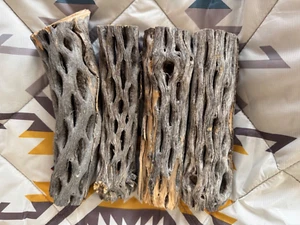 100 piezas de madera CHOLLA 4 pulgadas artesanía orgánica acuario masticable 1,5”+ GROSOR - Imagen 1 de 1