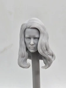 3d Print  DR. KIDMAN CHASE HEAD 1:12 6" Classified/ Legend Scale - Picture 1 of 2