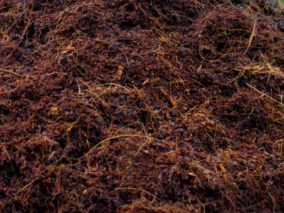  Fibra de turba de coco natural hidropónico orgánico suelo plantas medios de cultivo 1 libra  Foto 1 de 4