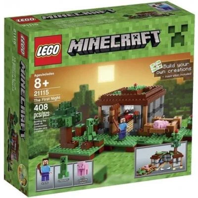 LEGO Minecraft The First Night Basic Set - Image 1 of 4