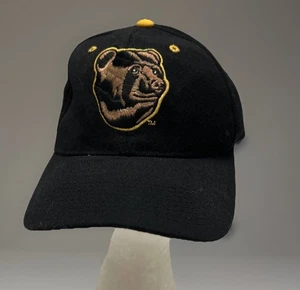 Zephyr NHL Boston Bruins mit Bear Team Logo Ball Cap Snapback 100% Wolle sauber - Bild 1 von 11