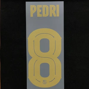 Official Pedri #8 FC Barcelona Home CUP UCL 2024-25 PRINT - Bild 1 von 6