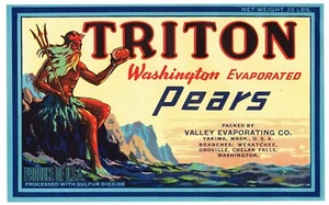 ORIGINAL CRATE LABEL VINTAGE TRITON NEPTUNE GREEK OCEAN PEAR C1940 GOD OF SEA - Imagen 1 de 1