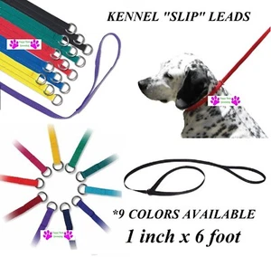 1-Equipo de Guardia Mascota PERRO NYLON Sin Resbalón Perrera Correa de Plomo Control de Animales QuickFit  - Imagen 1 de 16