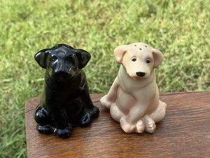 Labrador Salz & Pfefferstreuer Keramik Set Schwarz und Golden Lab Hund - Bild 1 von 6