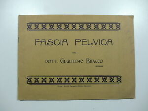 Fascia pelvica del Dott. Guglielmo Bracco senior. Catalogo