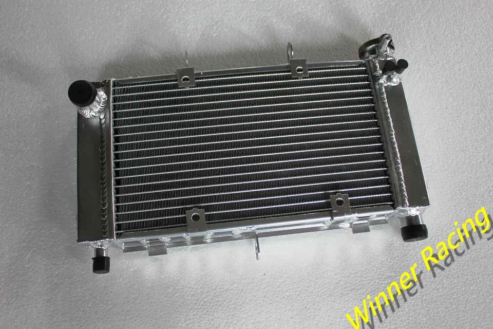 Radiador de aluminio para Yamaha FZ6 FZ-6 FZ600 FZS6 2004-2006 Foto 1 de 4