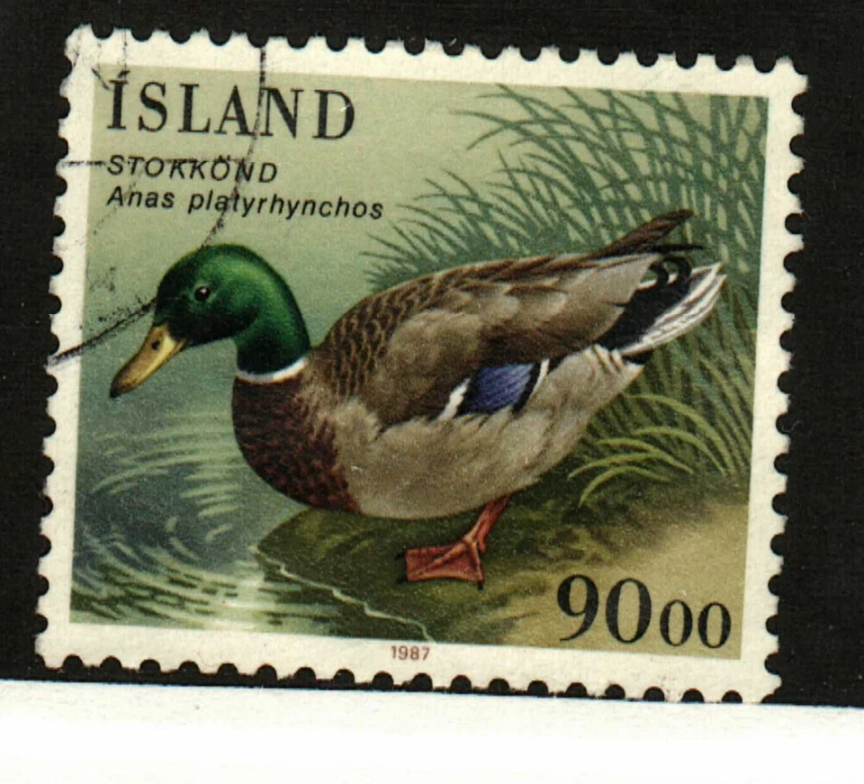 Iceland #645 used duck - Image 1 of 1