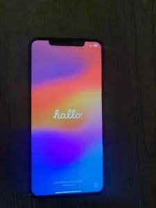 Apple iPhone XS Max 256GB großer Speicher Weiß BITTE LESEN!!Schnäppchenpreis! - Bild 1 von 4