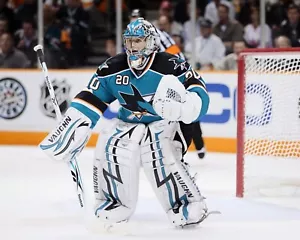 Evgeni Nabokov in Net Stance San Jose Sharks 8x10 NHL Hockey Foto - Bild 1 von 1