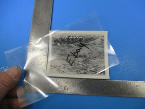 WWII Original RAR Foto Luzon Island "Dead Japs" S5365 - Bild 1 von 1